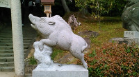 岡山で証明写真・記念写真・就活写真ならフタバ写真場 和気神社　藤(ふじ)祭り