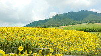 岡山で証明写真・記念写真・就活写真ならフタバ写真場 ファジアーノ岡山　ものすごい脱力感でした