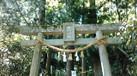 岡山で証明写真・記念写真・就活写真ならフタバ写真場 金持神社
