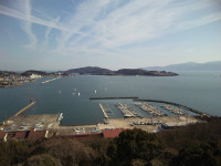 岡山で証明写真・記念写真・就活写真ならフタバ写真場 新緑の季節です。