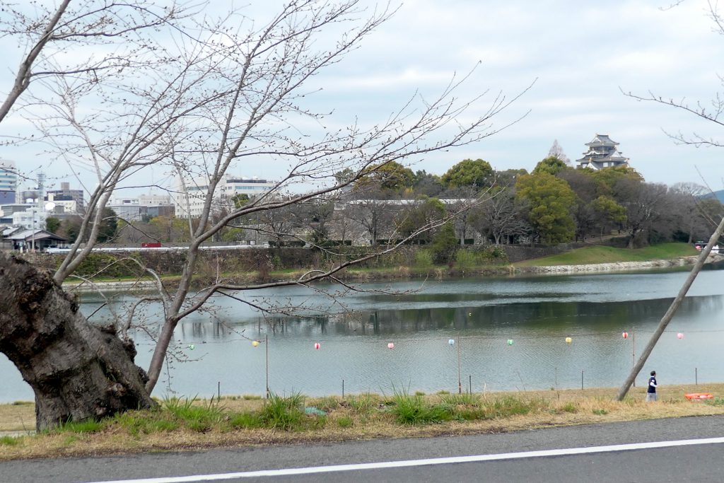 岡山で証明写真・記念写真・就活写真ならフタバ写真場 お彼岸